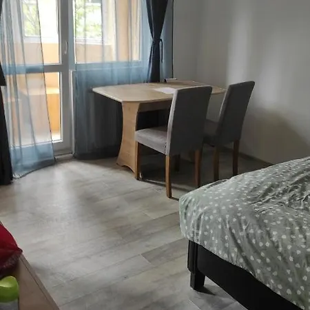 Garsoniera Maria Apartment *